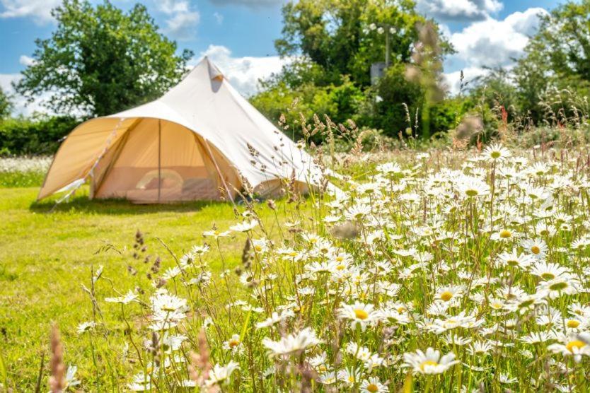 Ringstead  Red Clover At Blanca'S Bell Tents 빌라 외부 사진